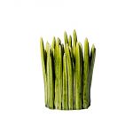 Normann Copenhagen Grass Wazon 16 cm Normann Copenhagen Czerwona Maszyna