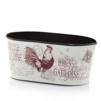 ROOSTER DONICA home&you