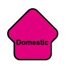 DOMESTIC